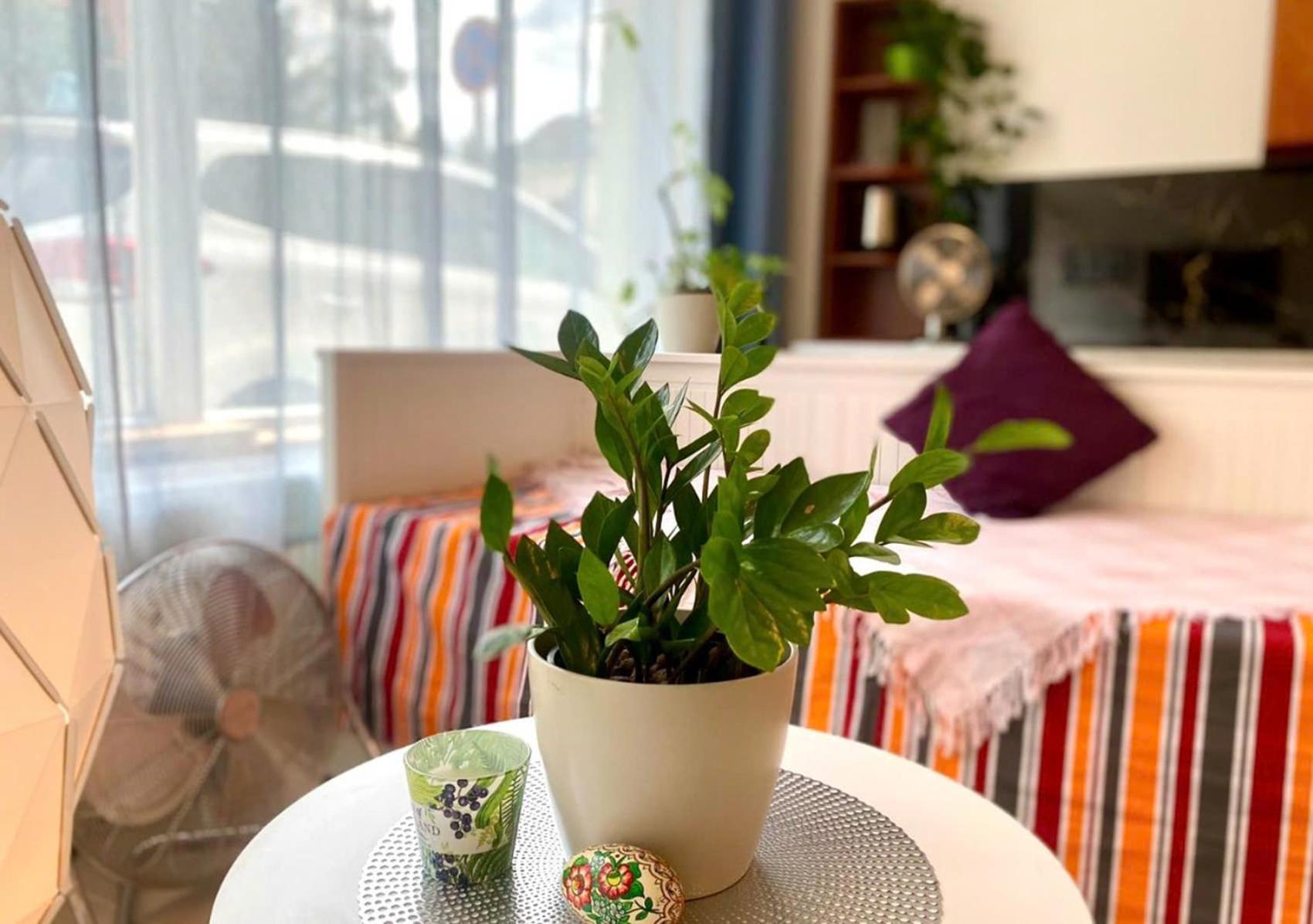 Green Studio Praha 2 L Ground Floor Free Parking المظهر الخارجي الصورة